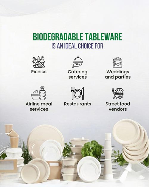 Bagasse vs Plastic Plates