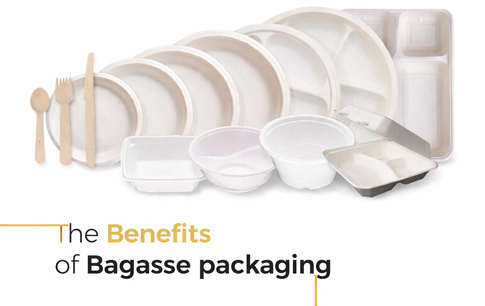 Bagasse vs Plastic Plates